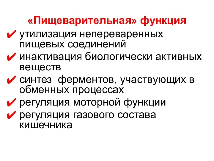 «Пищеварительная» функция утилизация непереваренных пищевых соединений инактивация биологически активных веществ синтез