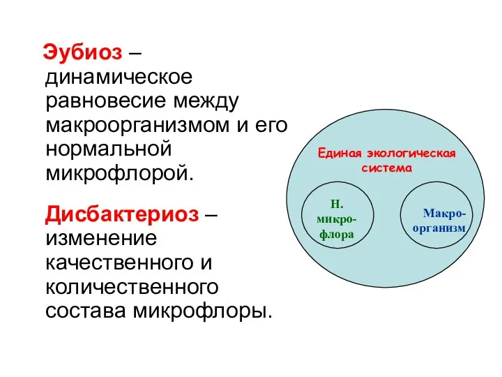 Эубиоз – динамическое равновесие между макроорганизмом и его нормальной микрофлорой. Дисбактериоз