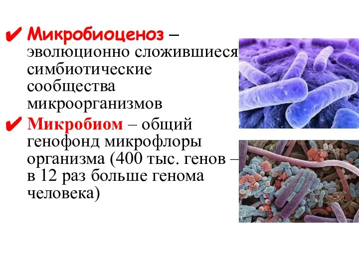 Микробиоценоз – эволюционно сложившиеся симбиотические сообщества микроорганизмов Микробиом – общий генофонд