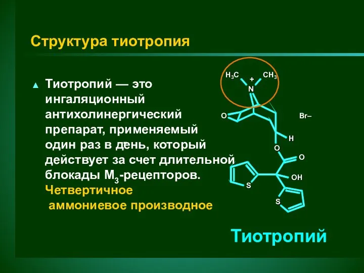 Тиотропий O O OH OH O O H H Br Br
