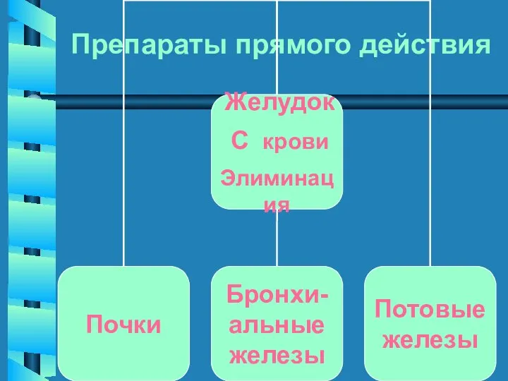 Препараты прямого действия