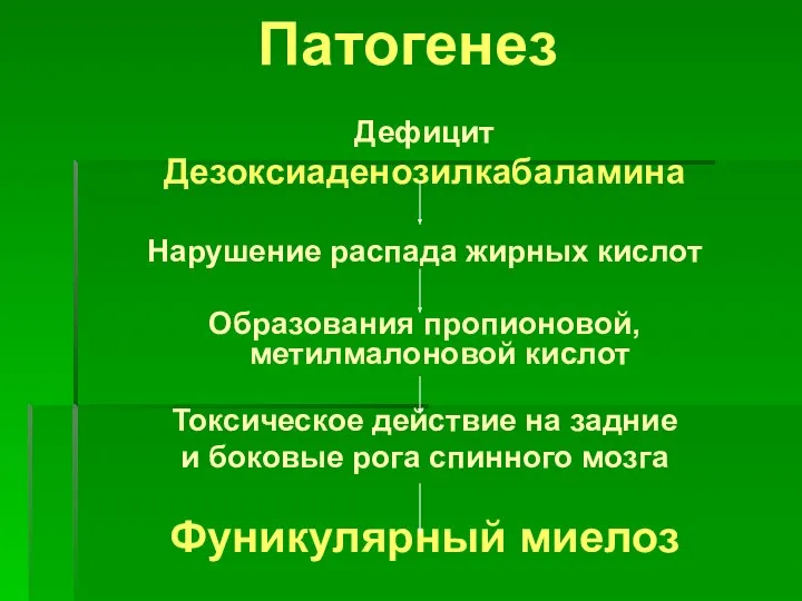 Патогенез Дефицит Дезоксиаденозилкабаламина Нарушение распада жирных кислот Образования пропионовой, метилмалоновой кислот