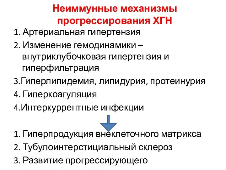 Неиммунные механизмы прогрессирования ХГН 1. Артериальная гипертензия 2. Изменение гемодинамики –