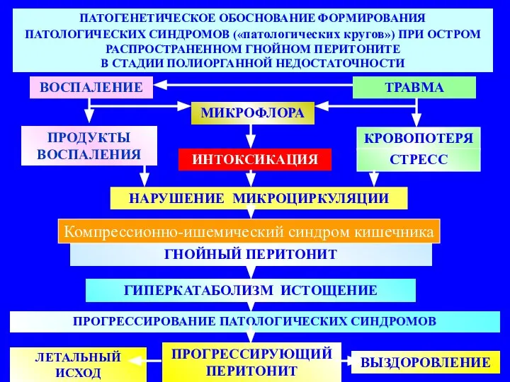 ПАТОГЕНЕТИЧЕСКОЕ ОБОСНОВАНИЕ ФОРМИРОВАНИЯ ПАТОЛОГИЧЕСКИХ СИНДРОМОВ («патологических кругов») ПРИ ОСТРОМ РАСПРОСТРАНЕННОМ ГНОЙНОМ