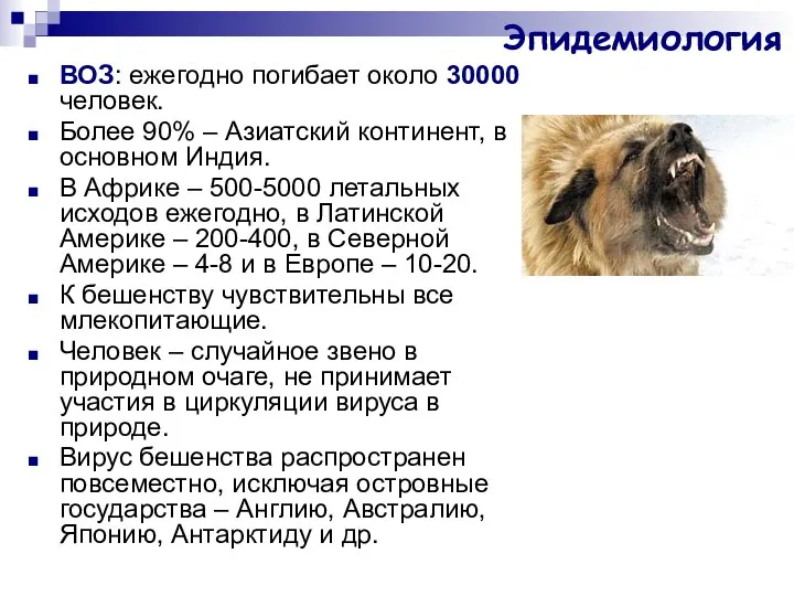 Эпидемиология ВОЗ: ежегодно погибает около 30000 человек. Более 90% – Азиатский