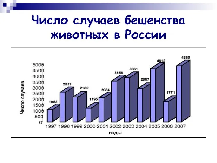 Число случаев бешенства животных в России
