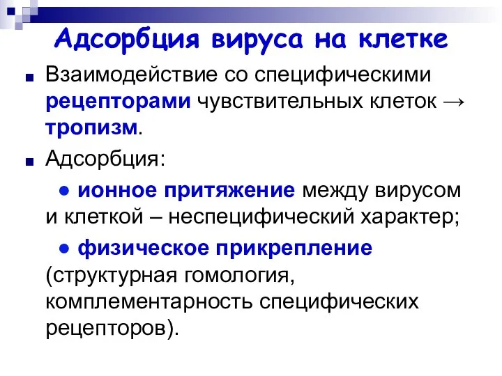 Адсорбция вируса на клетке Взаимодействие со специфическими рецепторами чувствительных клеток →