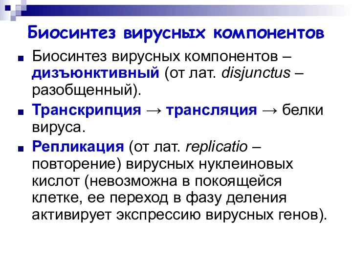 Биосинтез вирусных компонентов Биосинтез вирусных компонентов – дизъюнктивный (от лат. disjunctus