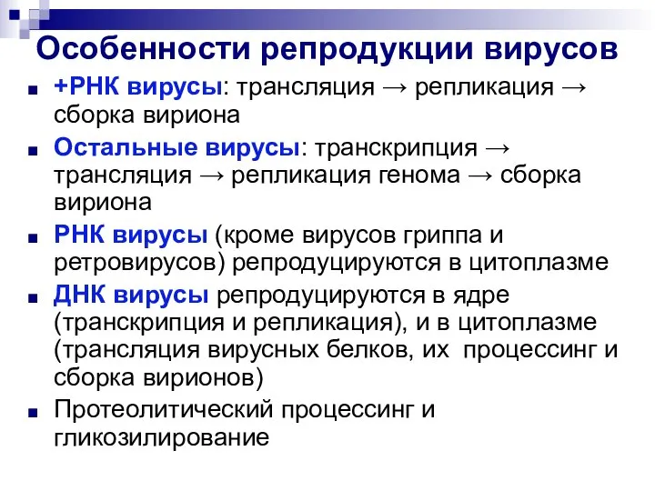 Особенности репродукции вирусов +РНК вирусы: трансляция → репликация → сборка вириона