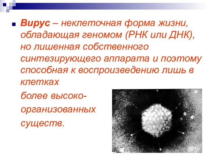 Вирус – неклеточная форма жизни, обладающая геномом (РНК или ДНК), но