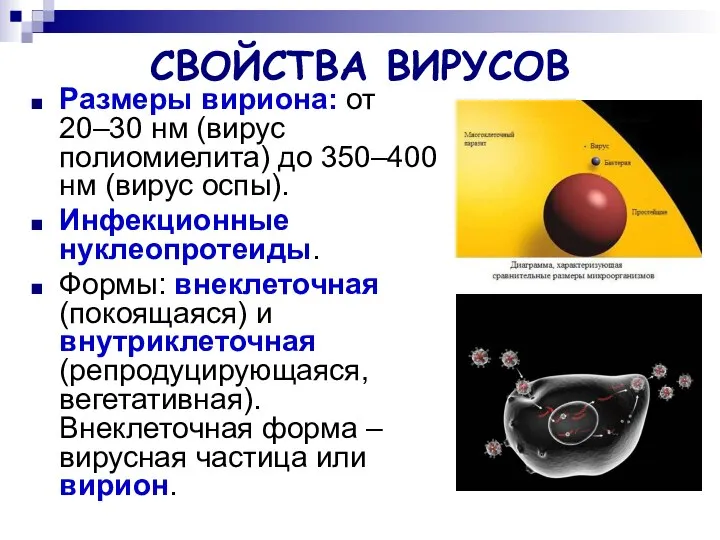 СВОЙСТВА ВИРУСОВ Размеры вириона: от 20–30 нм (вирус полиомиелита) до 350–400