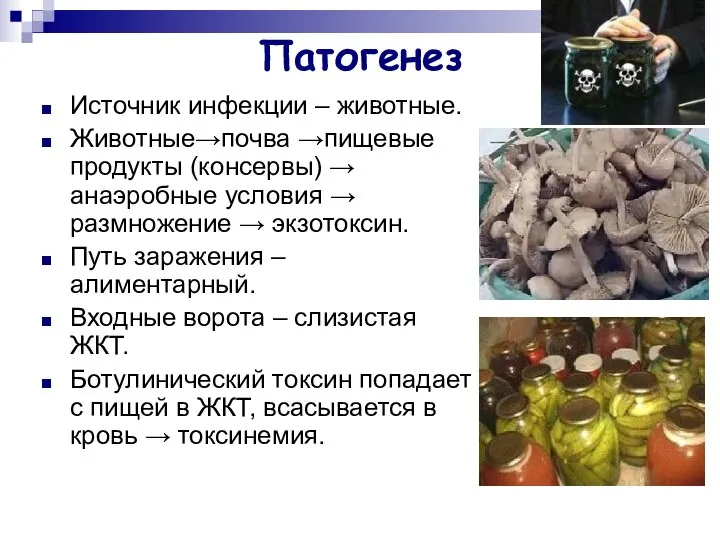 Патогенез Источник инфекции – животные. Животные→почва →пищевые продукты (консервы) → анаэробные