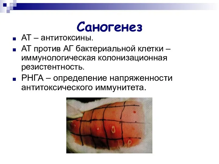 Саногенез АТ – антитоксины. АТ против АГ бактериальной клетки – иммунологическая