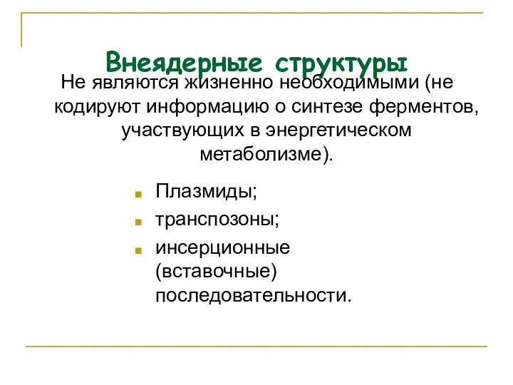 Внеядерные структуры Не являются жизненно необходимыми (не кодируют информацию о синтезе