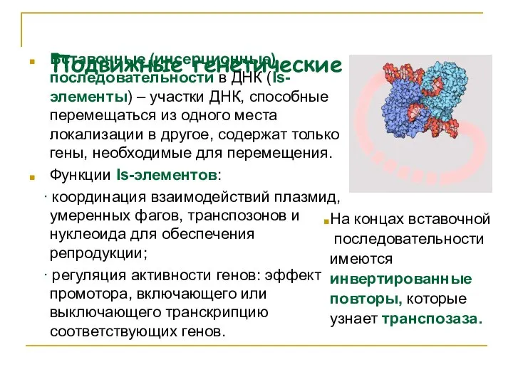 Подвижные генетические элементы Вставочные (инсерционные) последовательности в ДНК (Is-элементы) – участки