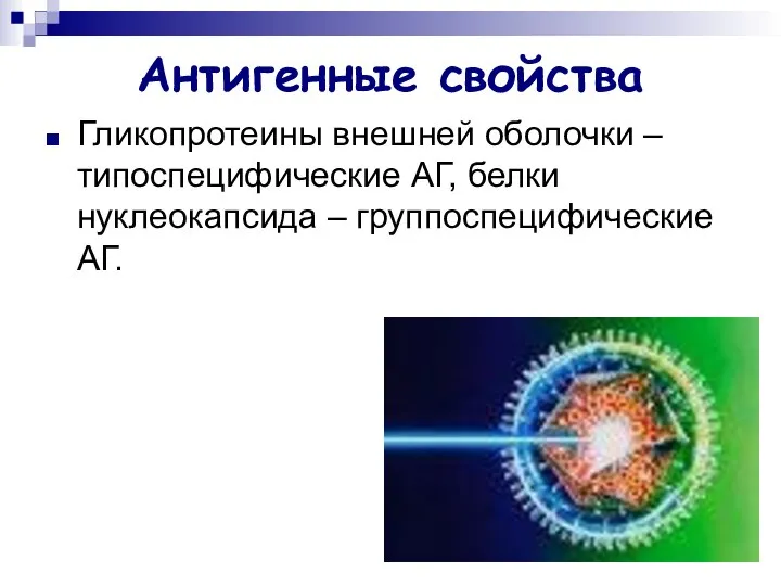 Антигенные свойства Гликопротеины внешней оболочки – типоспецифические АГ, белки нуклеокапсида – группоспецифические АГ.