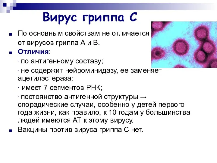 Вирус гриппа С По основным свойствам не отличается от вирусов гриппа