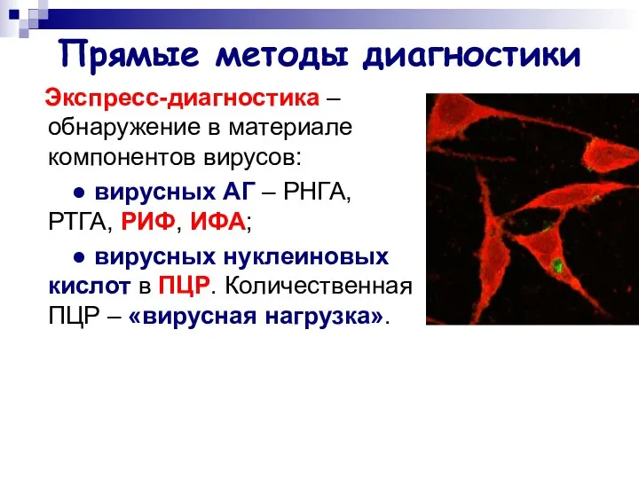 Прямые методы диагностики Экспресс-диагностика – обнаружение в материале компонентов вирусов: ●