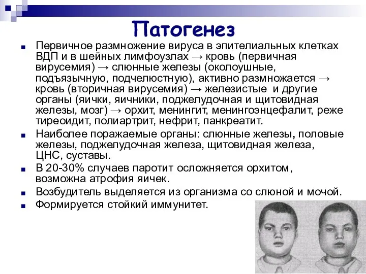 Патогенез Первичное размножение вируса в эпителиальных клетках ВДП и в шейных