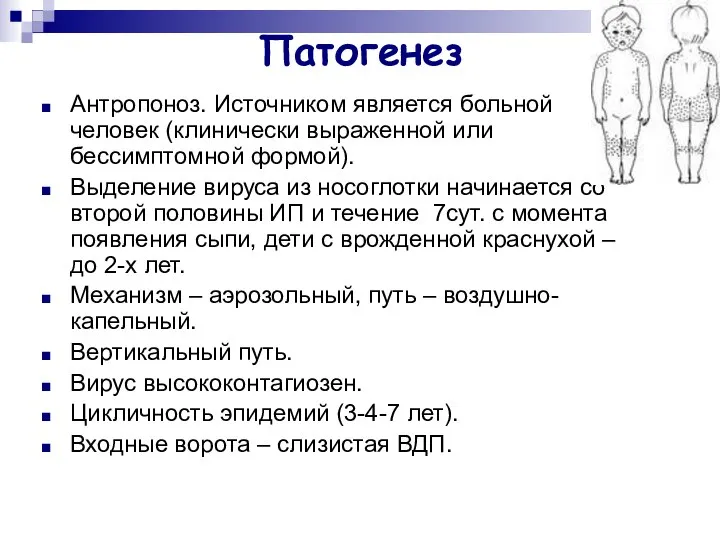 Патогенез Антропоноз. Источником является больной человек (клинически выраженной или бессимптомной формой).