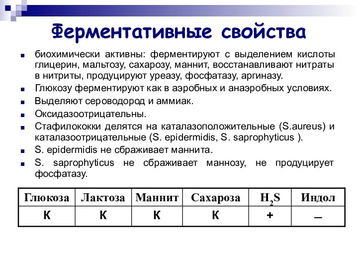 Ферментативные свойства биохимически активны: ферментируют с выделением кислоты глицерин, мальтозу, сахарозу,