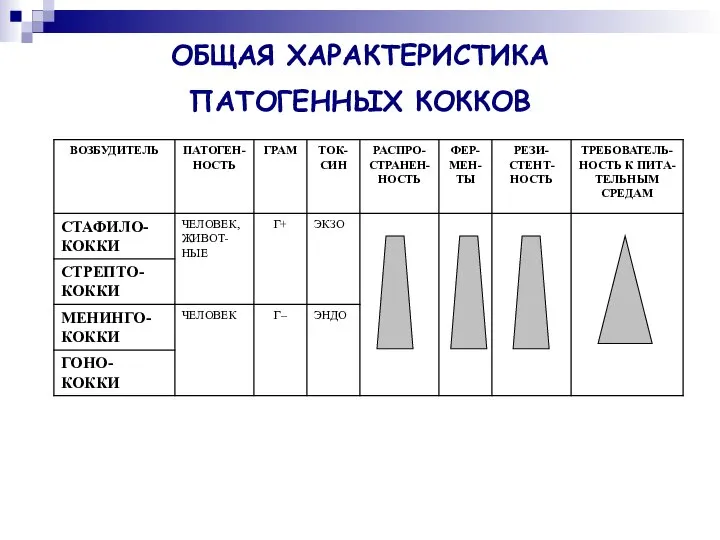 ОБЩАЯ ХАРАКТЕРИСТИКА ПАТОГЕННЫХ КОККОВ