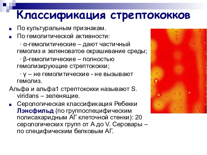 Классификация стрептококков По культуральным признакам. По гемолитической активности: ∙ α-гемолитические –