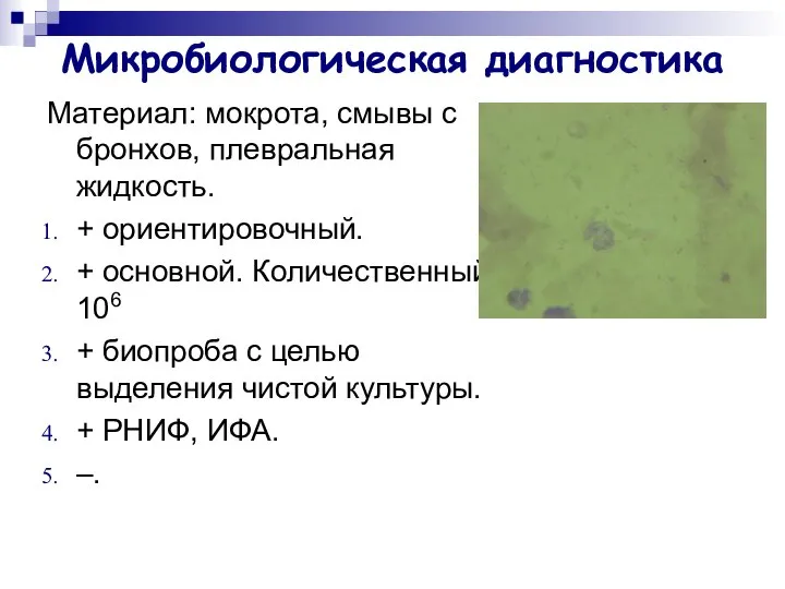 Микробиологическая диагностика Материал: мокрота, смывы с бронхов, плевральная жидкость. + ориентировочный.