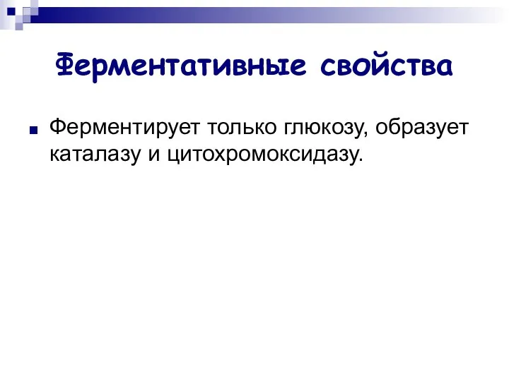 Ферментативные свойства Ферментирует только глюкозу, образует каталазу и цитохромоксидазу.