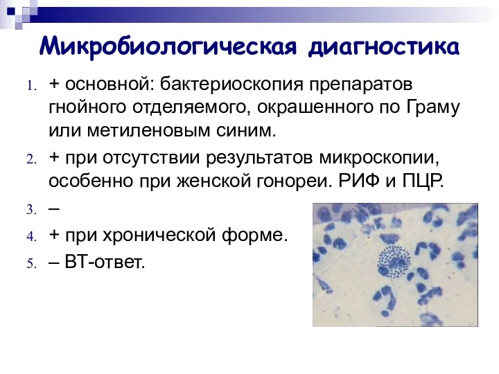 Микробиологическая диагностика + основной: бактериоскопия препаратов гнойного отделяемого, окрашенного по Граму