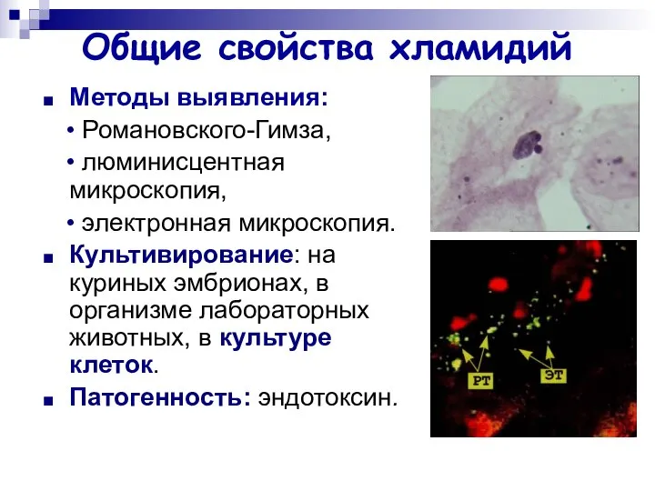 Общие свойства хламидий Методы выявления: • Романовского-Гимза, • люминисцентная микроскопия, •