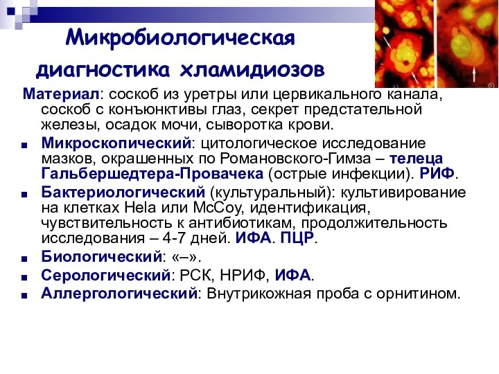 Микробиологическая диагностика хламидиозов Материал: соскоб из уретры или цервикального канала, соскоб