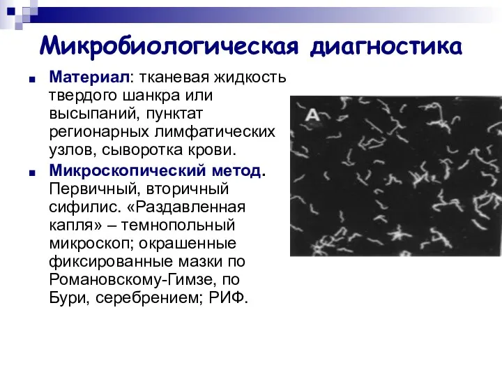 Микробиологическая диагностика Материал: тканевая жидкость твердого шанкра или высыпаний, пунктат регионарных