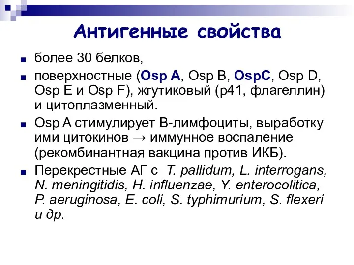 Антигенные свойства более 30 белков, поверхностные (Osp A, Osp B, OspC,