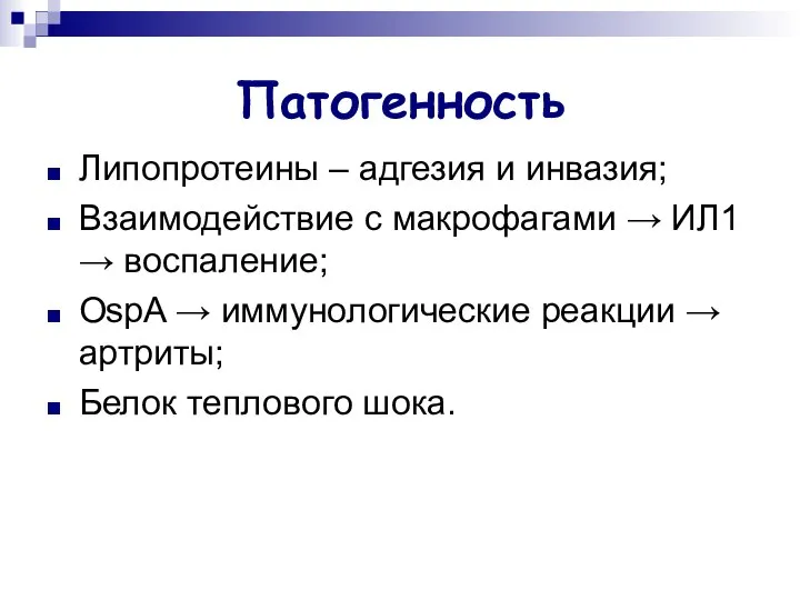 Патогенность Липопротеины – адгезия и инвазия; Взаимодействие с макрофагами → ИЛ1