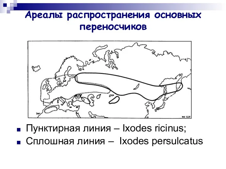 Ареалы распространения основных переносчиков Пунктирная линия – Ixodes ricinus; Сплошная линия – Ixodes persulcatus