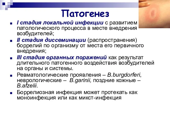 Патогенез I стадия локальной инфекции с развитием патологического процесса в месте