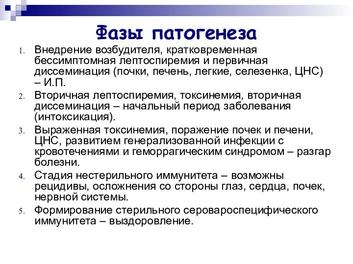 Фазы патогенеза Внедрение возбудителя, кратковременная бессимптомная лептоспиремия и первичная диссеминация (почки,