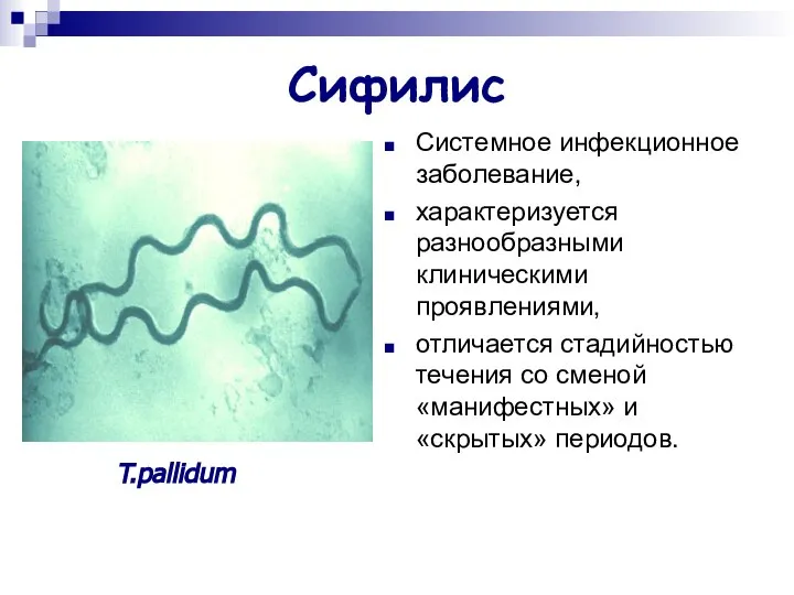 Сифилис Системное инфекционное заболевание, характеризуется разнообразными клиническими проявлениями, отличается стадийностью течения