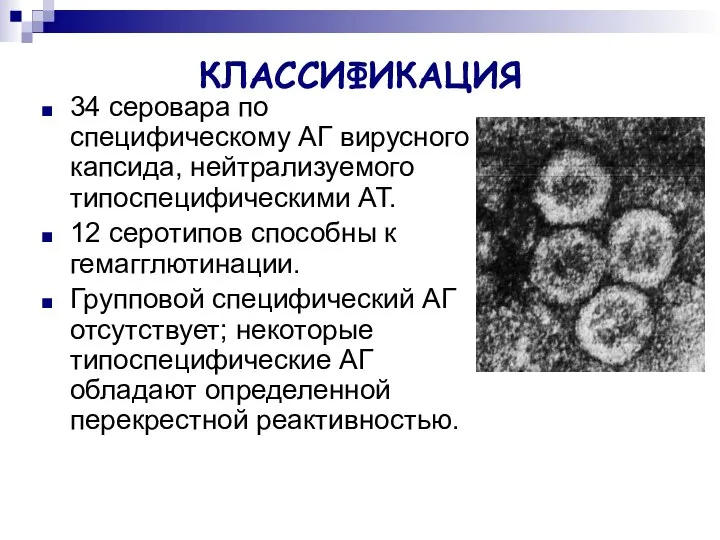 КЛАССИФИКАЦИЯ 34 серовара по специфическому АГ вирусного капсида, нейтрализуемого типоспецифическими АТ.