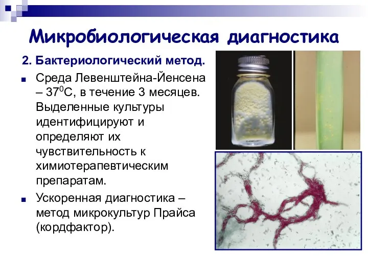 Микробиологическая диагностика 2. Бактериологический метод. Среда Левенштейна-Йенсена – 370С, в течение