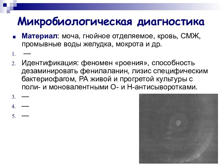 Микробиологическая диагностика Материал: моча, гнойное отделяемое, кровь, СМЖ, промывные воды желудка,