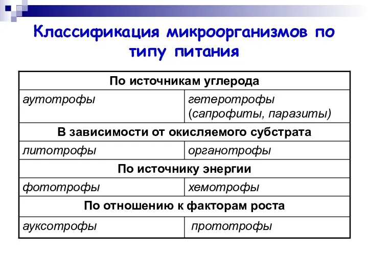 Классификация микроорганизмов по типу питания