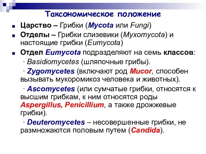 Таксономическое положение Царство – Грибки (Mycota или Fungi) Отделы – Грибки