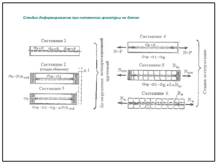 Стадии деформирования при натяжении арматуры на бетон