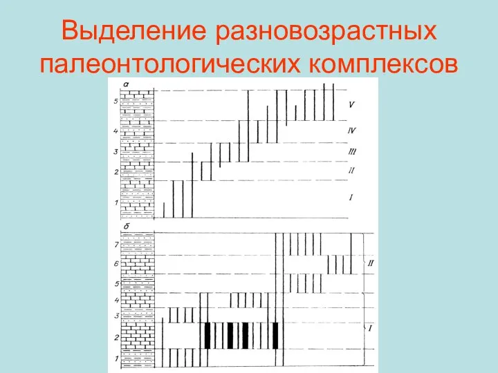 Выделение разновозрастных палеонтологических комплексов