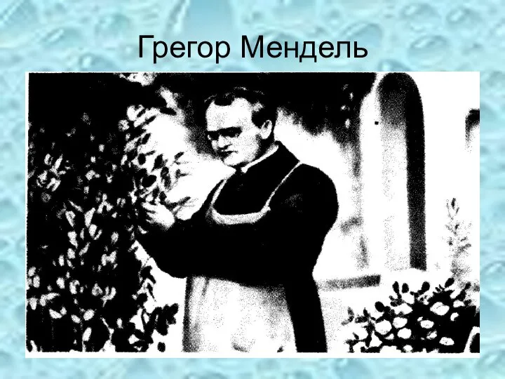 Грегор Мендель