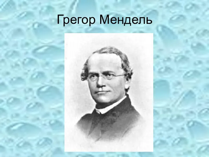 Грегор Мендель