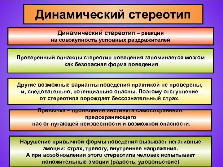 Динамический стереотип Динамический стереотип – реакция на совокупность условных раздражителей Проверенный