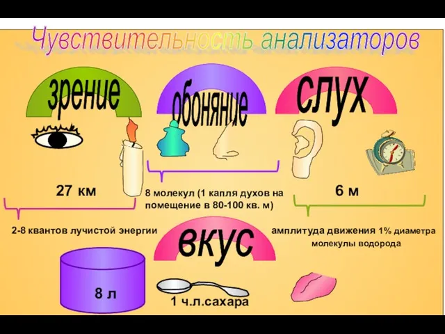 27 км Чувствительность анализаторов зрение 2-8 квантов лучистой энергии слух 6